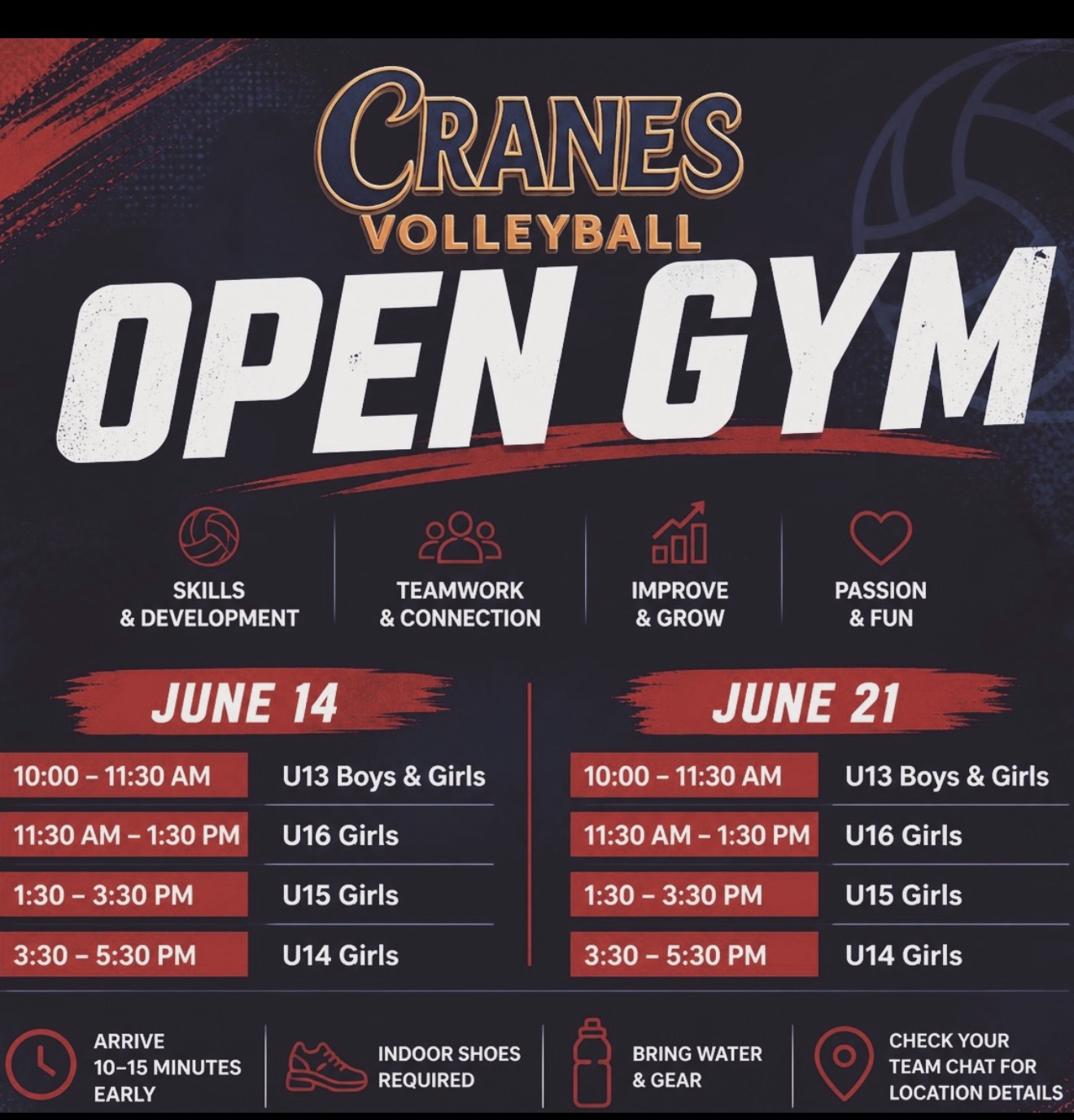 Cranes Volleyball Open Gym (Multi-Age) flyer